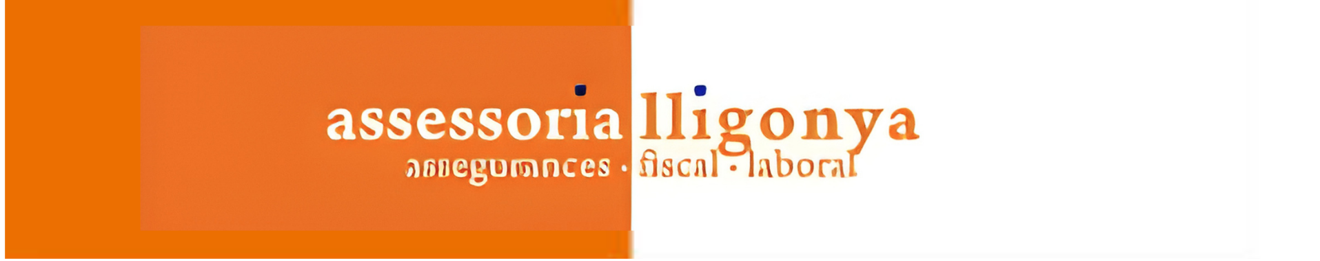 Asesoría Lligonya